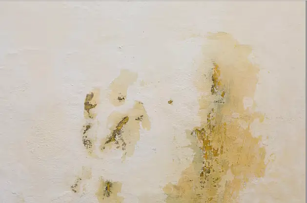 Mur abimé par l'humidité